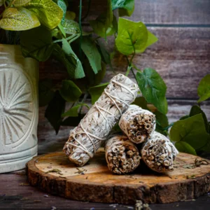 California White Sage Stick Bundle