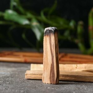 Palo Santo – Pure, Authentic Goodness